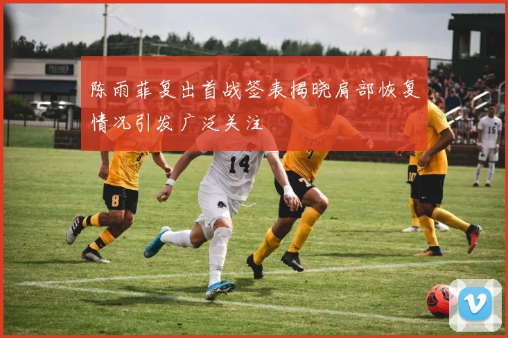 陈雨菲复出首战签表揭晓肩部恢复情况引发广泛关注