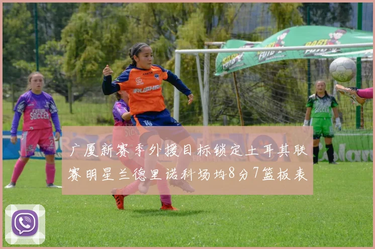 广厦新赛季外援目标锁定土耳其联赛明星兰德里诺科场均8分7篮板表现
